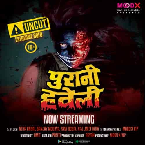 Purani Haweli E1